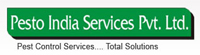 SEO Services - Pesto India