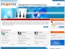 Website Designing - Phoenix Management & Consulting Group