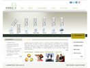 Website Designing - Roongta
