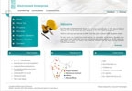 Website Designing - Electromech Enterprises