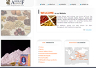 Website Designing - Ashraf Exports