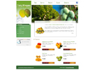 Website Designing - Tasty Mangoes